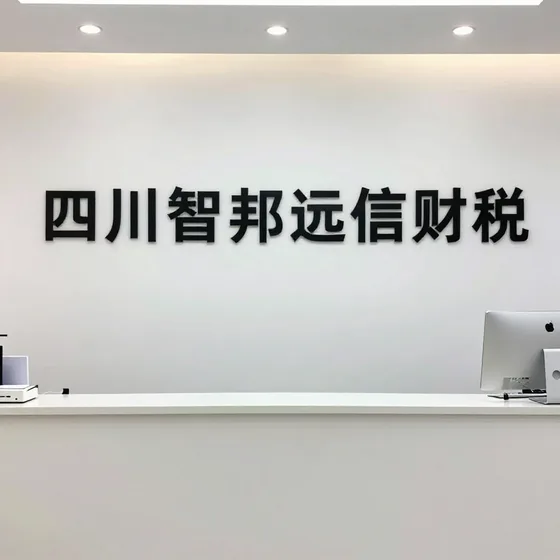 四川智邦远信财税