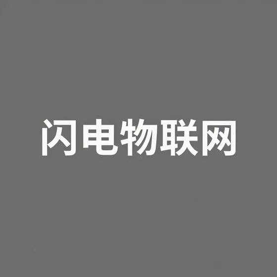 财税服务
